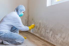 Why You Should Choose Our Mold Remediation Services in Siena College, NY