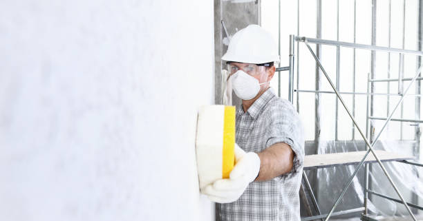 Mold Odor Removal Services in Siena College, NY