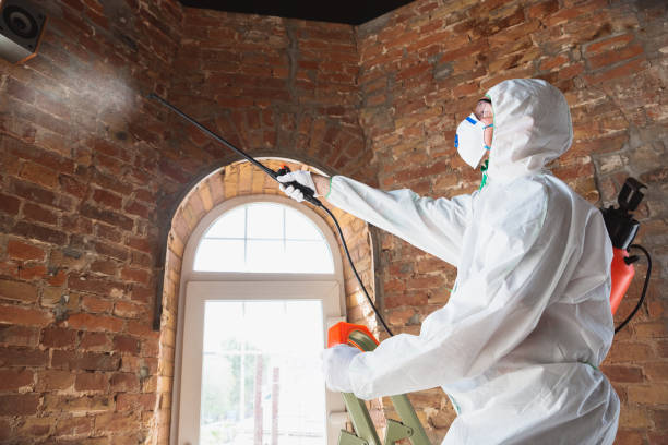 Best Commercial Mold Inspection  in Siena College, NY